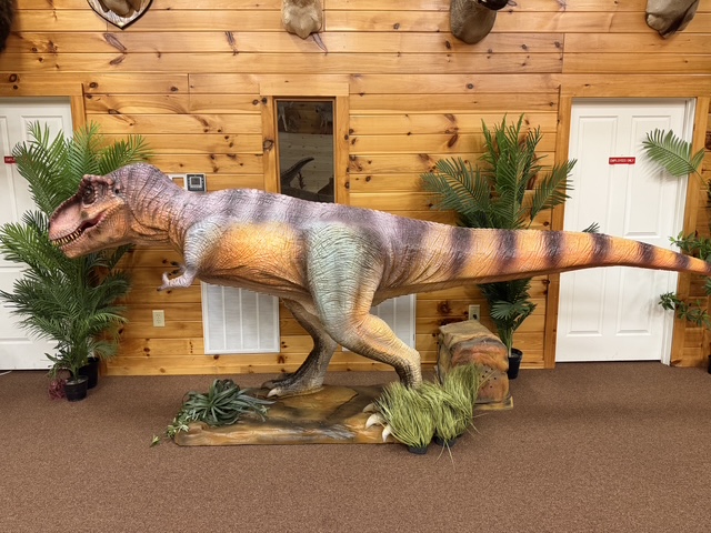 Giganotosaurus