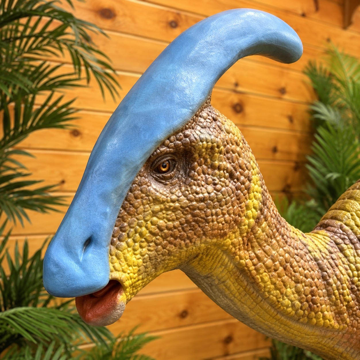 Parasaurolophus